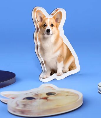 Купить СЧАСТЛИВЫЙ ПОДАРОК. Изготовление на заказ. Акриловый магнит на холодильник с дизайном питомца. Милый аниме-магнит с голографической пластиковой наклейкой. online manufacture